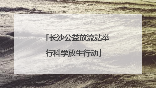 长沙公益放流站举行科学放生行动