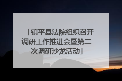 镇平县法院组织召开调研工作推进会暨第二次调研沙龙活动