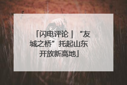 闪电评论｜“友城之桥”托起山东开放新高地