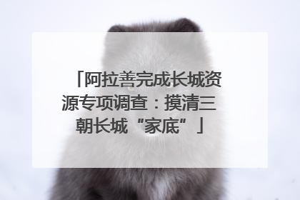 阿拉善完成长城资源专项调查：摸清三朝长城“家底”