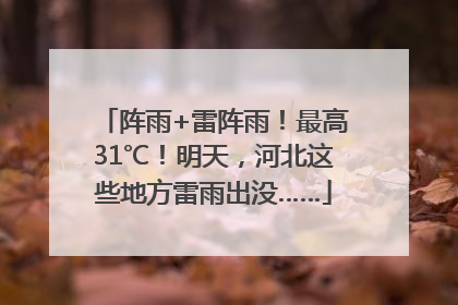 阵雨+雷阵雨！最高31℃！明天，河北这些地方雷雨出没……