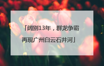 阔别13年，群龙争霸再现广州白云石井河