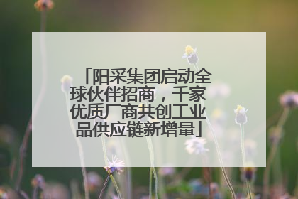 阳采集团启动全球伙伴招商，千家优质厂商共创工业品供应链新增量
