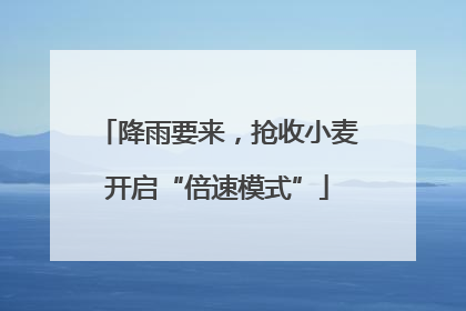 降雨要来，抢收小麦开启“倍速模式”