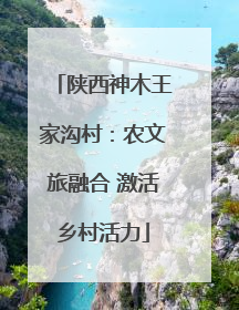 陕西神木王家沟村：农文旅融合 激活乡村活力