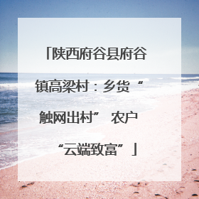 陕西府谷县府谷镇高梁村：乡货“触网出村” 农户“云端致富”