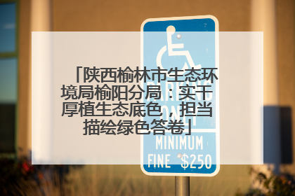 陕西榆林市生态环境局榆阳分局：实干厚植生态底色，担当描绘绿色答卷