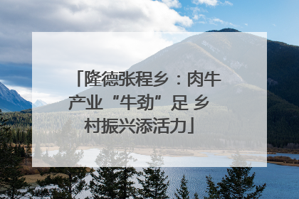 隆德张程乡：肉牛产业“牛劲”足 乡村振兴添活力