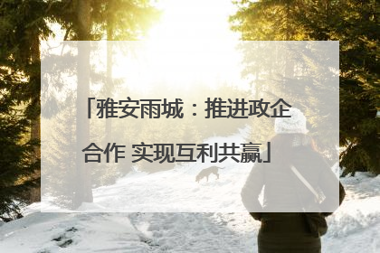 雅安雨城：推进政企合作 实现互利共赢