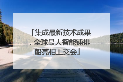 集成最新技术成果，全球最大智能铺排船亮相上交会