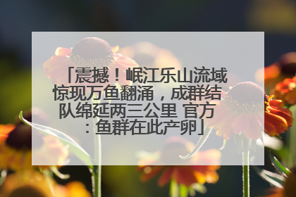 震撼！岷江乐山流域惊现万鱼翻涌，成群结队绵延两三公里 官方：鱼群在此产卵