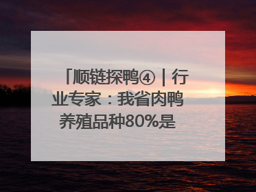 顺链探鸭④｜行业专家：我省肉鸭养殖品种80%是樱桃谷鸭