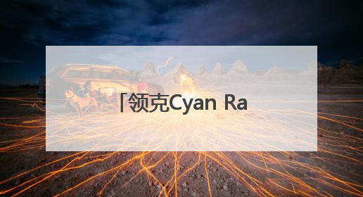 领克Cyan Racing车队再获佳绩 TCR世巡赛西班牙站包揽六座奖杯