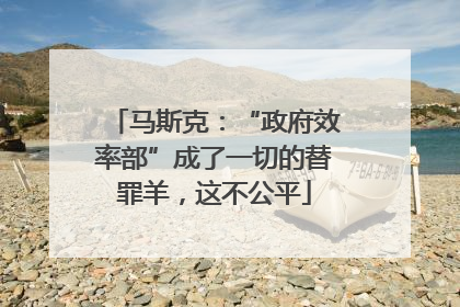 马斯克：“政府效率部”成了一切的替罪羊，这不公平