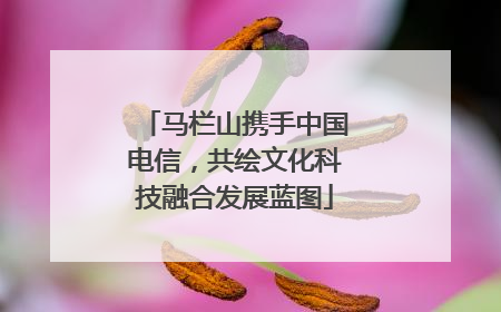 马栏山携手中国电信，共绘文化科技融合发展蓝图