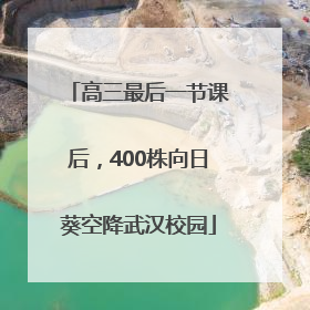 高三最后一节课后，400株向日葵空降武汉校园
