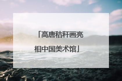 高唐秸秆画亮相中国美术馆