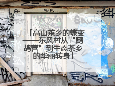高山茶乡的蝶变——东风村从“鹧鸪营”到生态茶乡的华丽转身