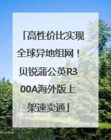 高性价比实现全球异地组网！贝锐蒲公英R300A海外版上架速卖通