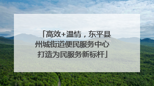 高效+温情，东平县州城街道便民服务中心打造为民服务新标杆