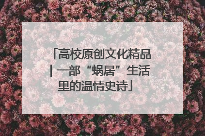 高校原创文化精品｜一部“蜗居”生活里的温情史诗