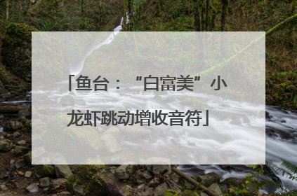 鱼台：“白富美”小龙虾跳动增收音符