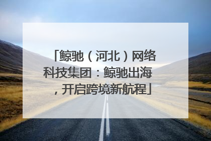 鲸驰（河北）网络科技集团：鲸驰出海，开启跨境新航程