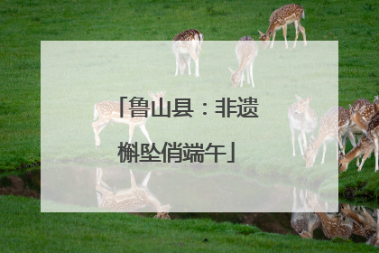 鲁山县：非遗槲坠俏端午