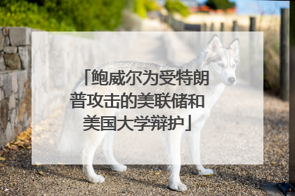 鲍威尔为受特朗普攻击的美联储和美国大学辩护