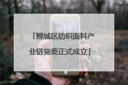 鲤城区纺织面料产业链党委正式成立