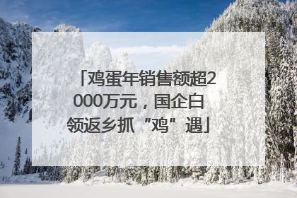 鸡蛋年销售额超2000万元，国企白领返乡抓“鸡”遇