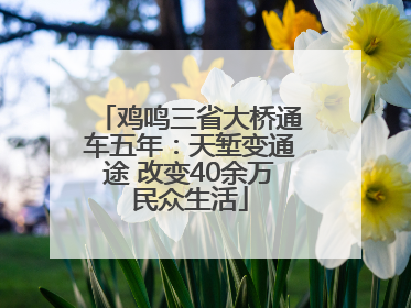 鸡鸣三省大桥通车五年：天堑变通途 改变40余万民众生活