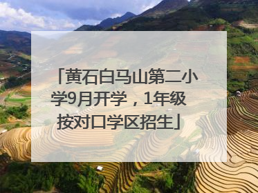 黄石白马山第二小学9月开学，1年级按对口学区招生