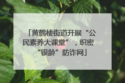 黄鹤楼街道开展“公民素养大课堂”，织密“银龄”防诈网
