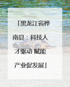 黑龙江省桦南县：科技人才驱动 赋能产业促发展