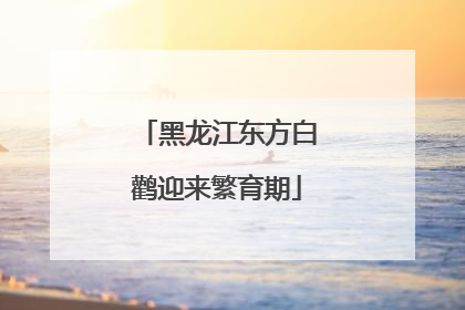 黑龙江东方白鹳迎来繁育期