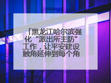 黑龙江哈尔滨强化“派出所主防”工作，让平安建设触角延伸到每个角落……