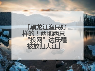 黑龙江渔民好样的！两地两只“投网”达氏鳇被放归大江