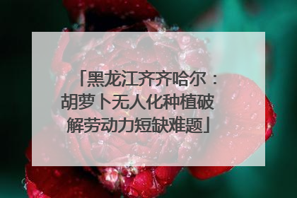 黑龙江齐齐哈尔：胡萝卜无人化种植破解劳动力短缺难题