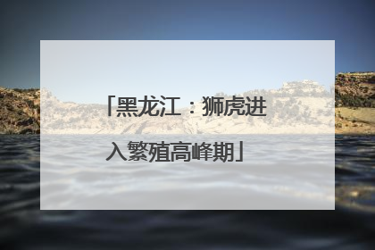 黑龙江：狮虎进入繁殖高峰期