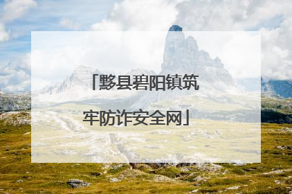 黟县碧阳镇筑牢防诈安全网