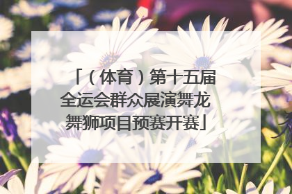 （体育）第十五届全运会群众展演舞龙舞狮项目预赛开赛
