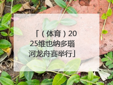 （体育）2025维也纳多瑙河龙舟赛举行