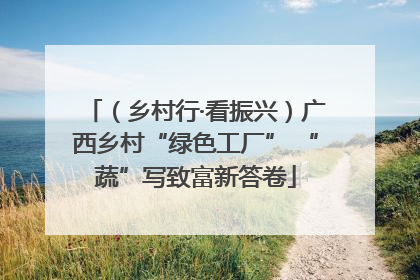 （乡村行·看振兴）广西乡村“绿色工厂” “蔬”写致富新答卷