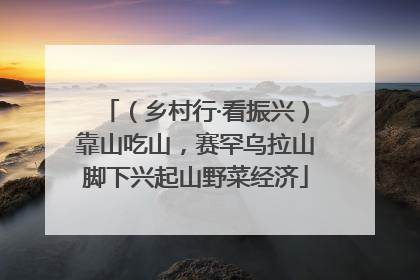 （乡村行·看振兴）靠山吃山，赛罕乌拉山脚下兴起山野菜经济