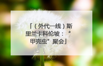 （外代一线）斯里兰卡科伦坡：“甲壳虫”聚会
