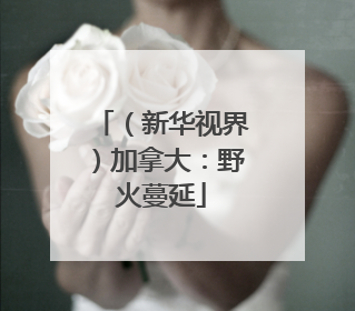 （新华视界）加拿大：野火蔓延