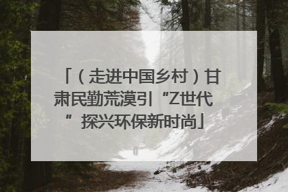 （走进中国乡村）甘肃民勤荒漠引“Z世代”探兴环保新时尚