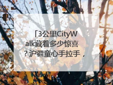 3公里CityWalk藏着多少惊喜？沪疆童心手拉手，“益起走”