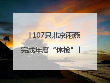 107只北京雨燕完成年度“体检”
